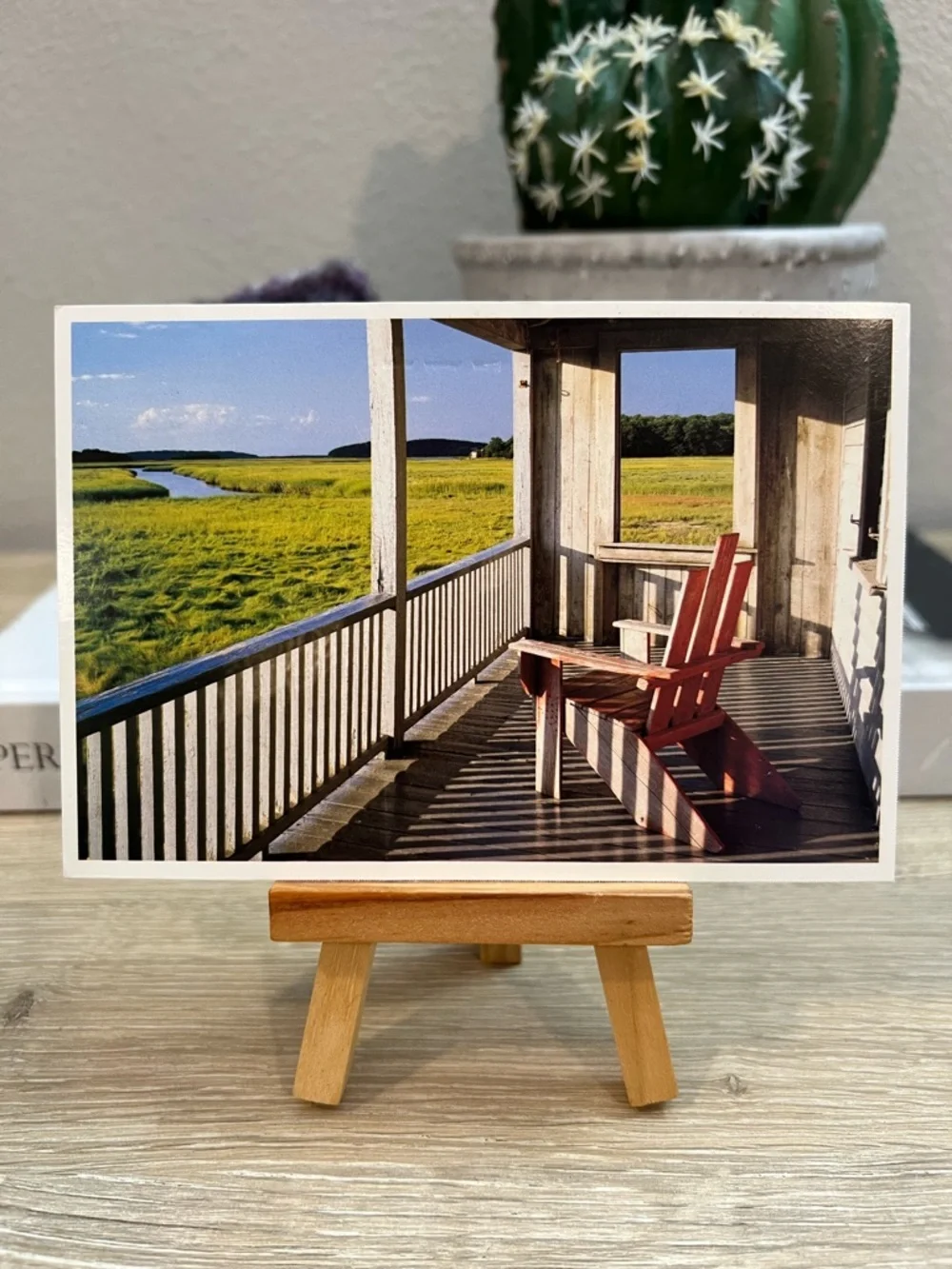 Unused Marsh View Porch Postcard Adirondack Chair Coastal Scenic Retreat